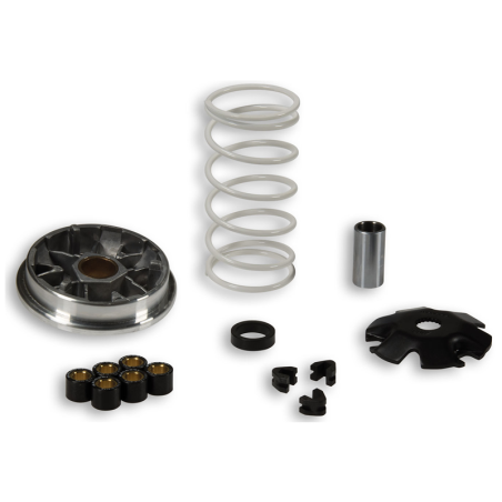 Variateur Malossi Multivar Typhoon - NRG