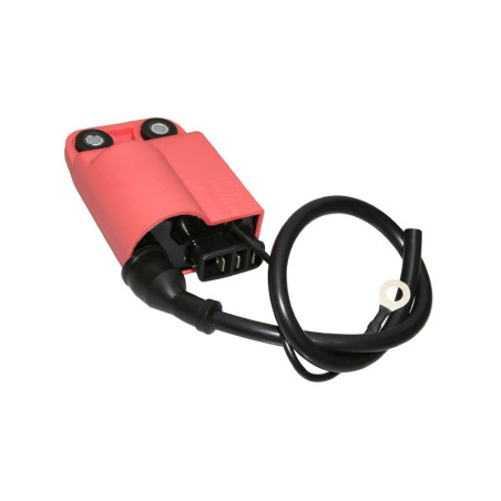 Bobine d’allumage Top Performance Piaggio Liberty - NRG