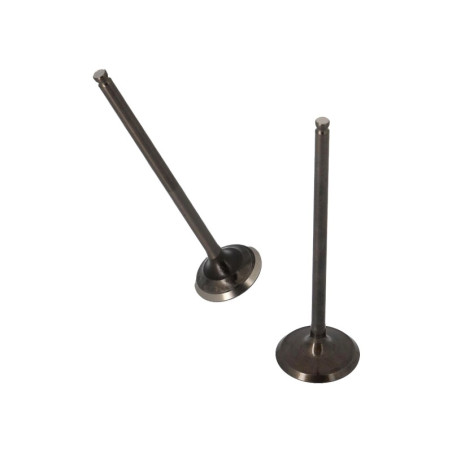 Soupapes Inter Racing Yamaha Majesty 125