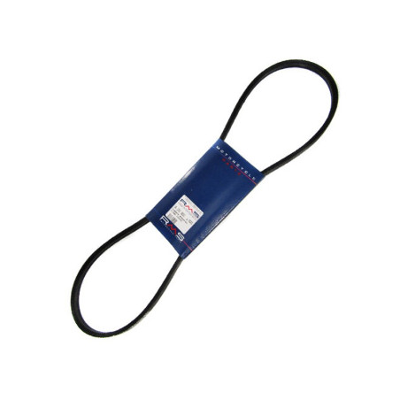 Courroie RMS Piaggio Bravo