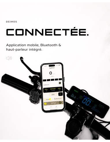Trottinette Électrique Ecoxtrem Deimos 1000W 48V 15Ah - Bluetooth