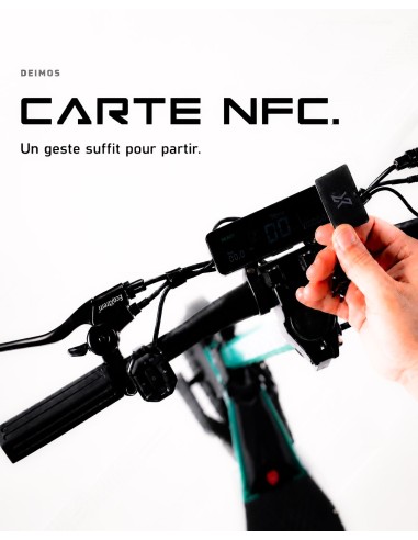 Trottinette Électrique Ecoxtrem Deimos 1000W 48V 15Ah - Bluetooth