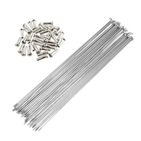 Rayon acier galvanisé avec écrou 300mm Vélo